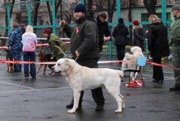 ШИРХАН